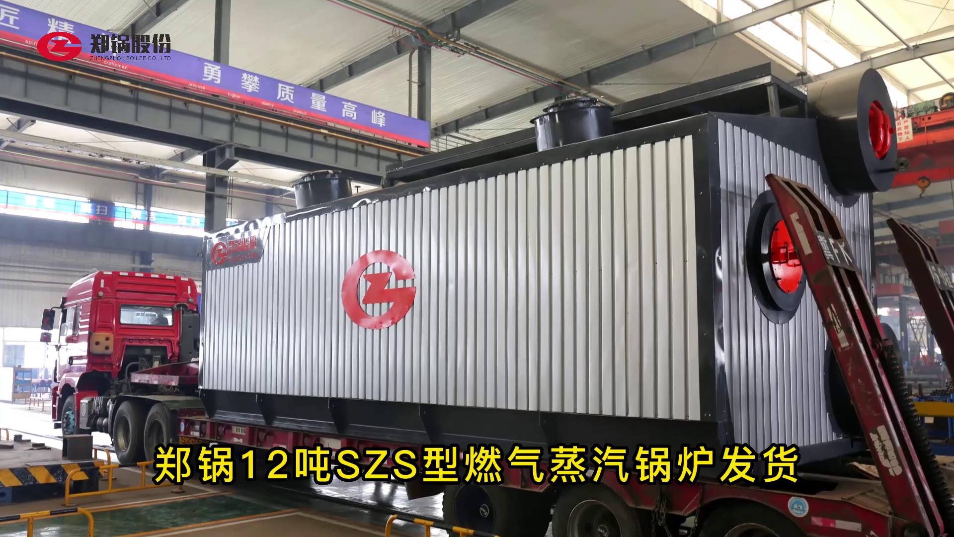 pg电子游戏试玩12吨燃气锅炉发货